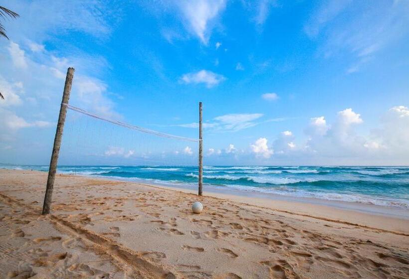 فندق Haus Am Meer Wilde Ananas