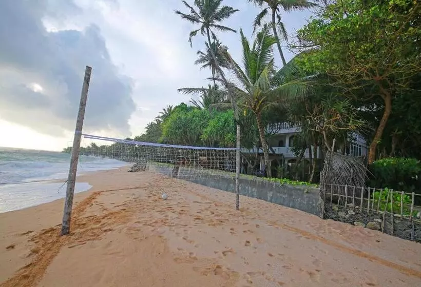 ホテル Haus Am Meer Wilde Ananas