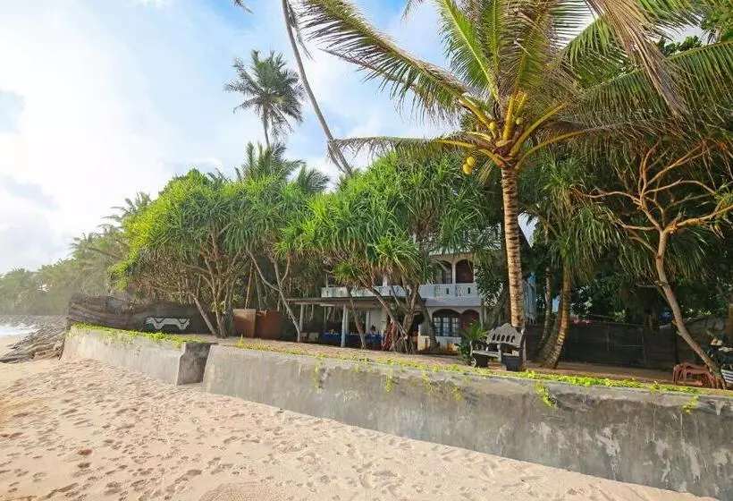 ホテル Haus Am Meer Wilde Ananas