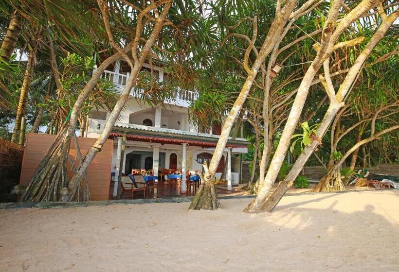 فندق Haus Am Meer Wilde Ananas