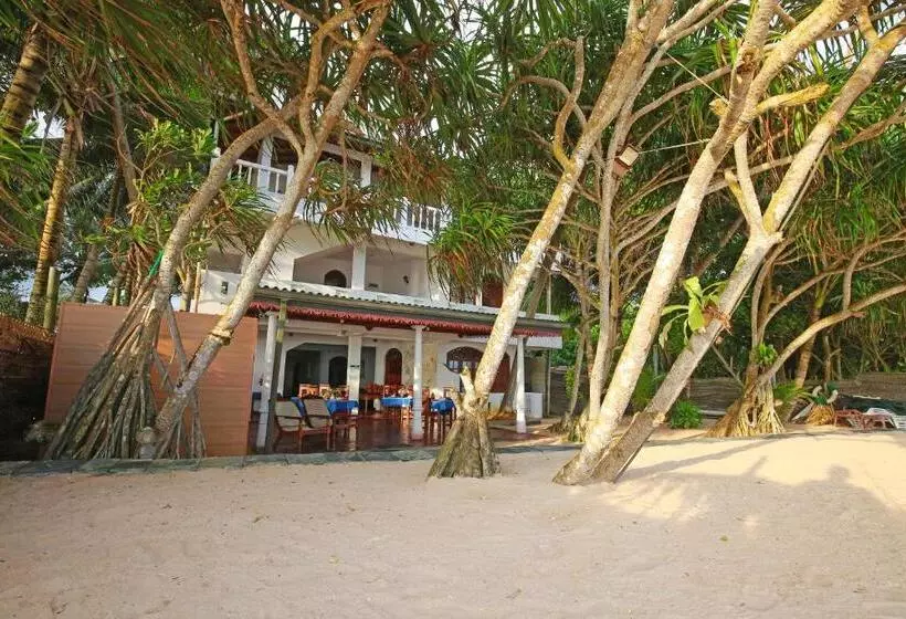 ホテル Haus Am Meer Wilde Ananas