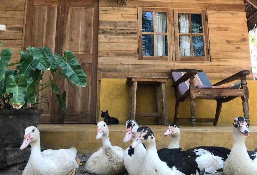 בית מלון כפרי Margarita Village Kite School Kalpitiya