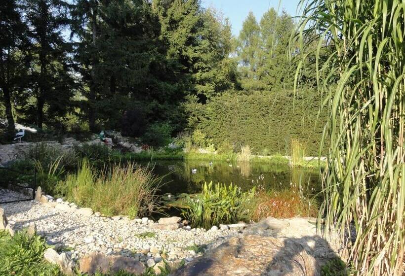 ホテル Pavla Vysočina