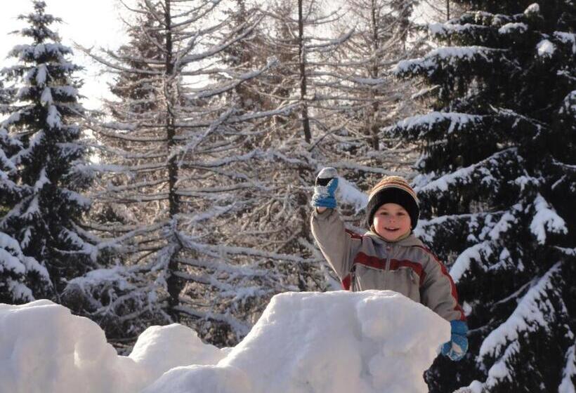 ホテル Pavla Vysočina