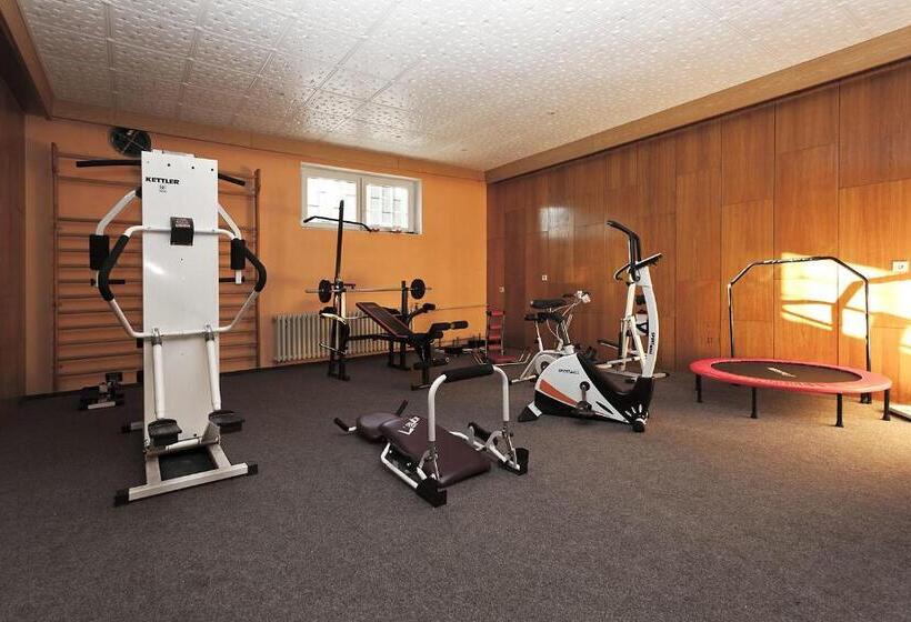 ホテル Pavla Vysočina