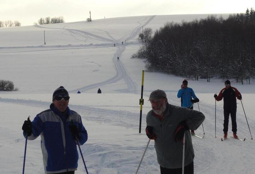 ホテル Pavla Vysočina