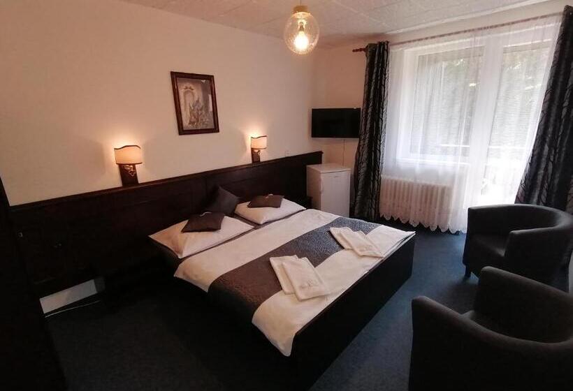 ホテル Pavla Vysočina