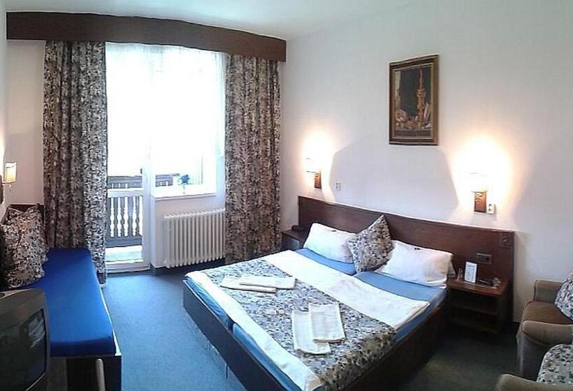 ホテル Pavla Vysočina