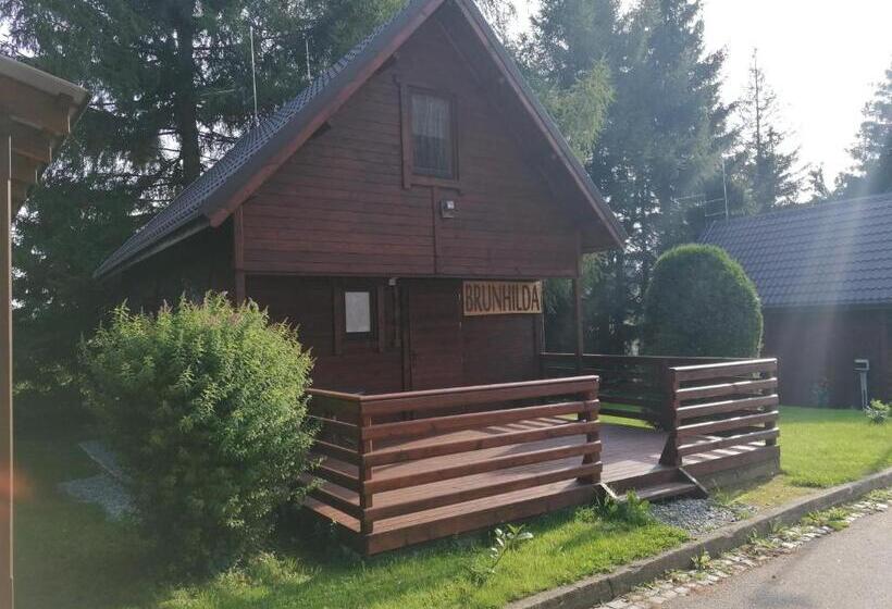 ホテル Pavla Vysočina