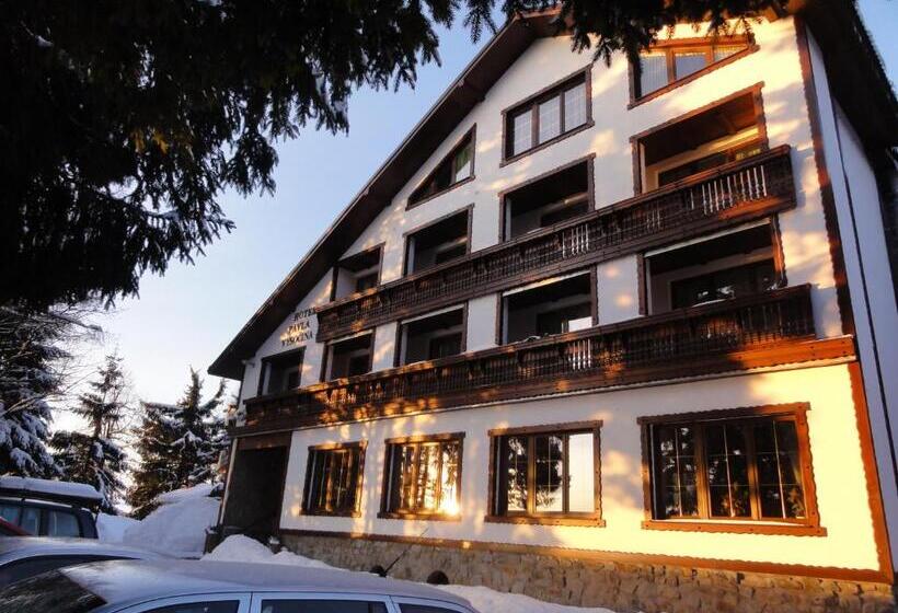 ホテル Pavla Vysočina