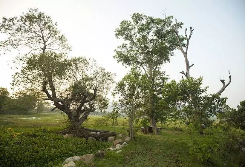 ホテル Grand Tamarind Lake