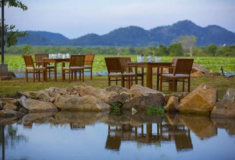 ホテル Grand Tamarind Lake