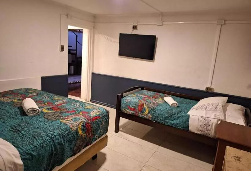 ホテル Terrasol Iquique