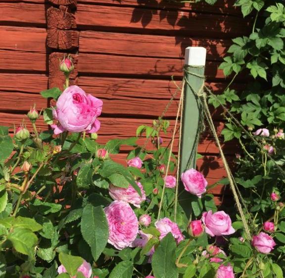 Bed and Breakfast Hälsingegården Erik Anders