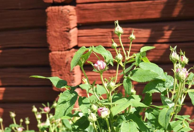 Bed and Breakfast Hälsingegården Erik Anders