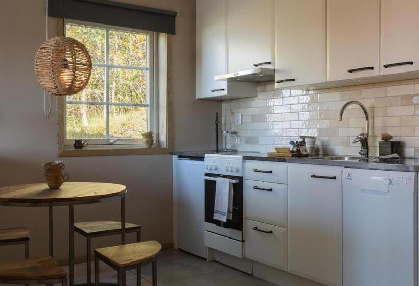 צימר Skoogs Logi   Rum