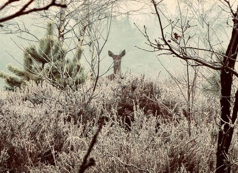 Boutique Hotel Hoog Soeren