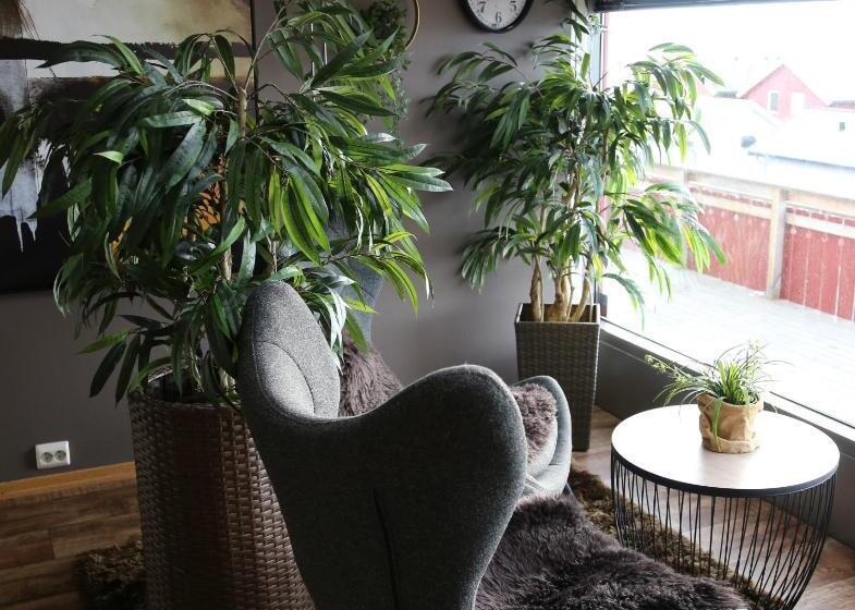 בית מלון כפרי Altafjord Gjestegaard