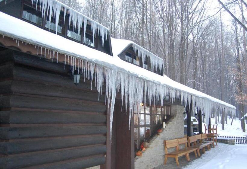 Hotel Koliba U Cerneho Medveda