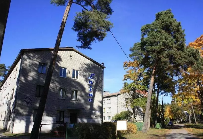 هتل Laine Guesthouse