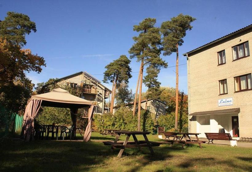 هتل Laine Guesthouse