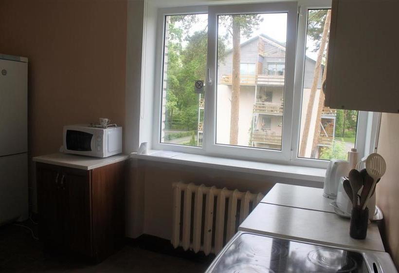 هتل Laine Guesthouse