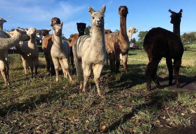 ホテル åmøy Fjordferie
