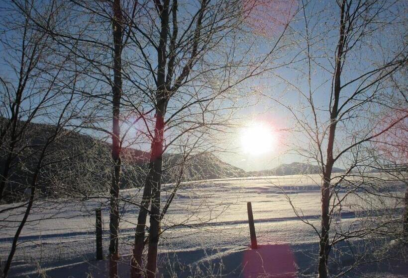 Отель Toftemo Turiststasjon