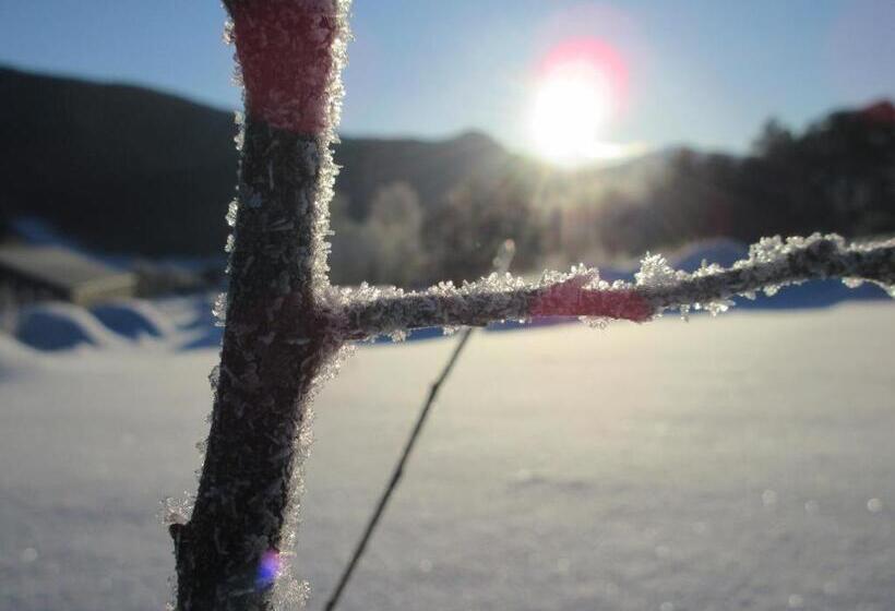 Отель Toftemo Turiststasjon