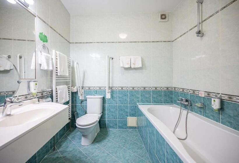 בית מלון כפרי U Královny Elišky