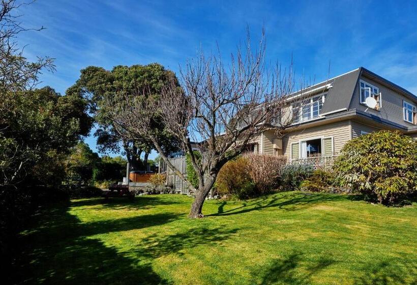 הוסטל Dolphin Lodge