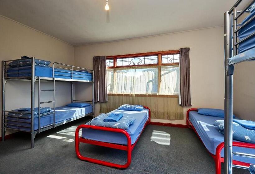 הוסטל Dolphin Lodge