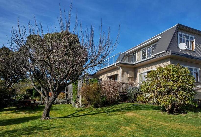 הוסטל Dolphin Lodge