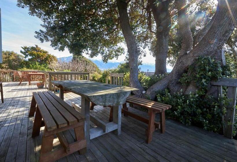 הוסטל Dolphin Lodge