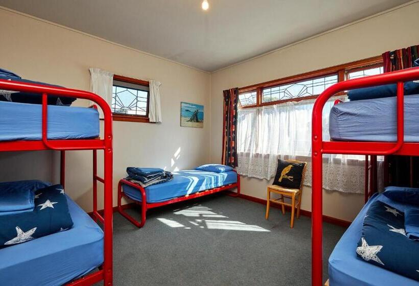 הוסטל Dolphin Lodge