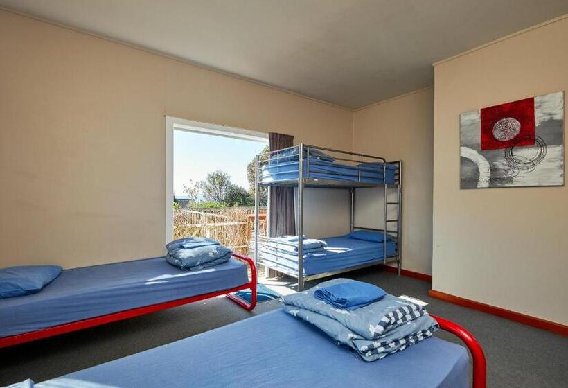 הוסטל Dolphin Lodge