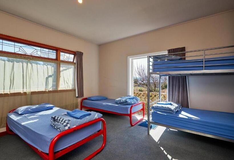 הוסטל Dolphin Lodge