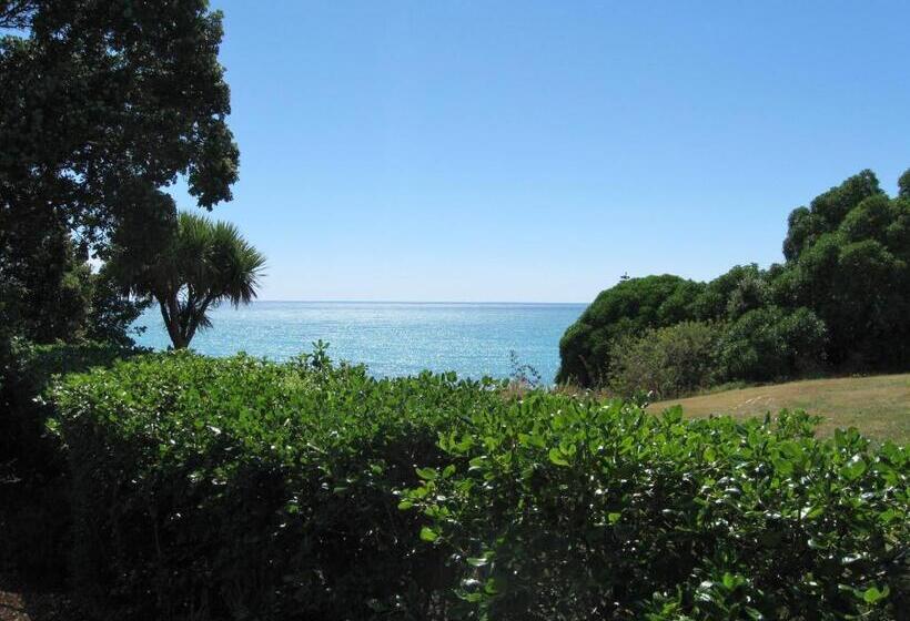 הוסטל Dolphin Lodge