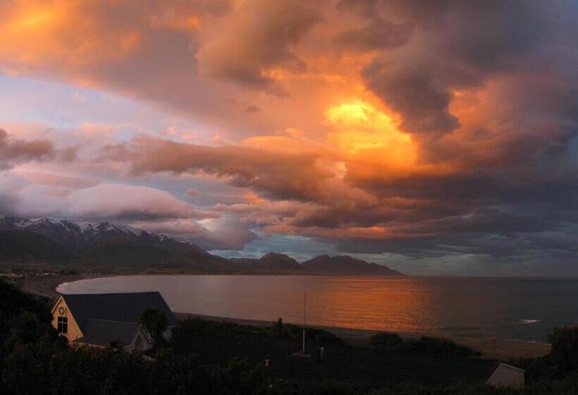 הוסטל Dolphin Lodge