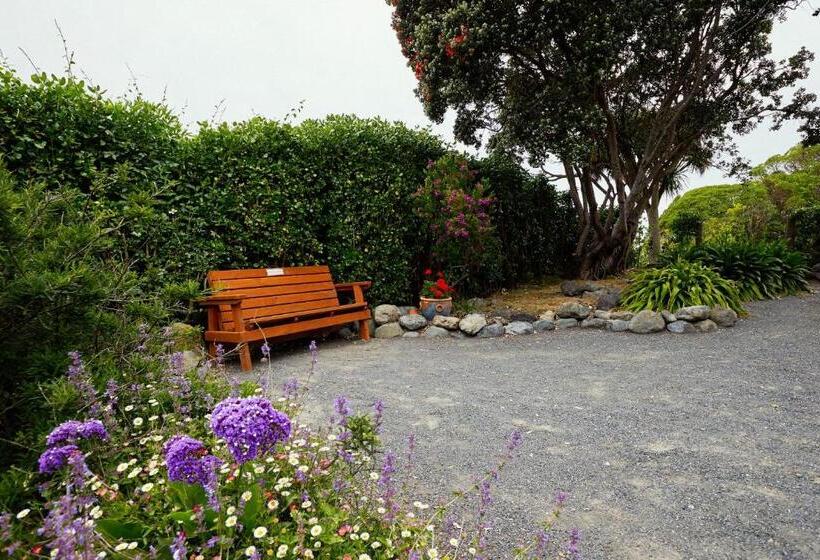 הוסטל Dolphin Lodge