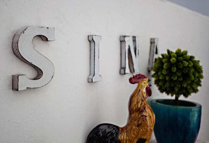 Baixa Terrace Hostel