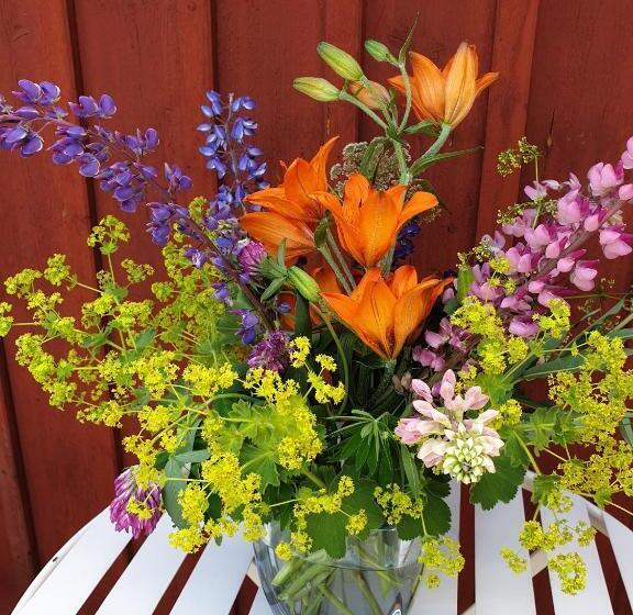 בית מלון כפרי L Ramudden