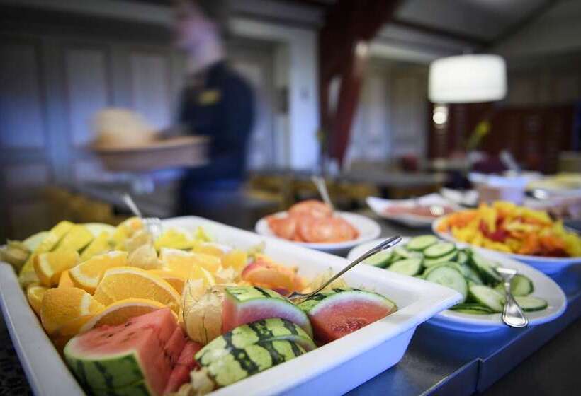 هتل Stiftsgården I Rättvik