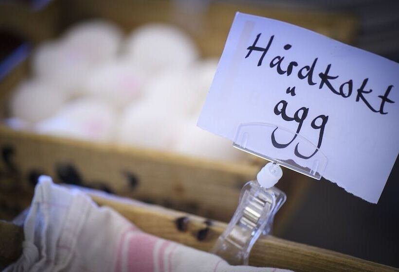 هتل Stiftsgården I Rättvik