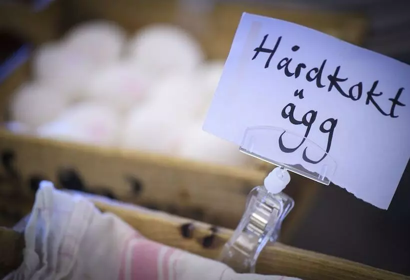 ホテル Stiftsgården I Rättvik