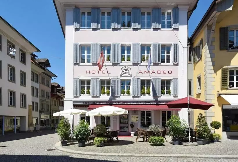 Apart Hotel Amadeo