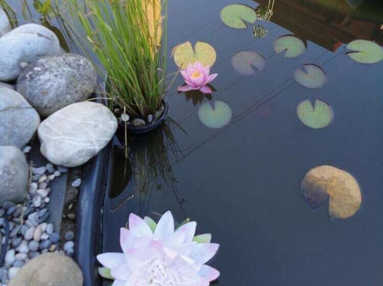 B & B Auf Dem Wolf, St. Jakob