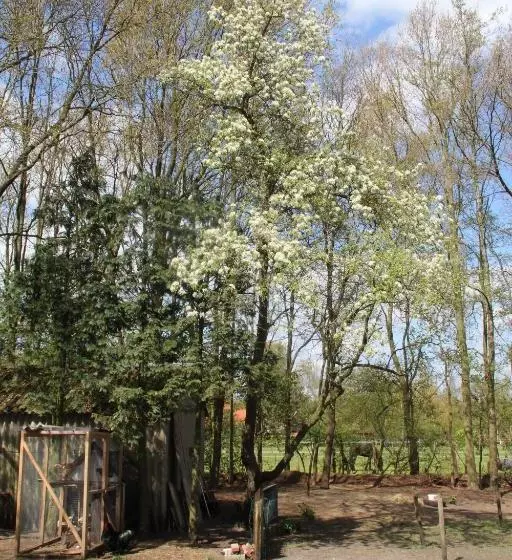 B&b In De Backerije