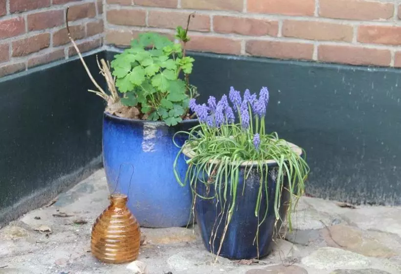 B&b In De Backerije