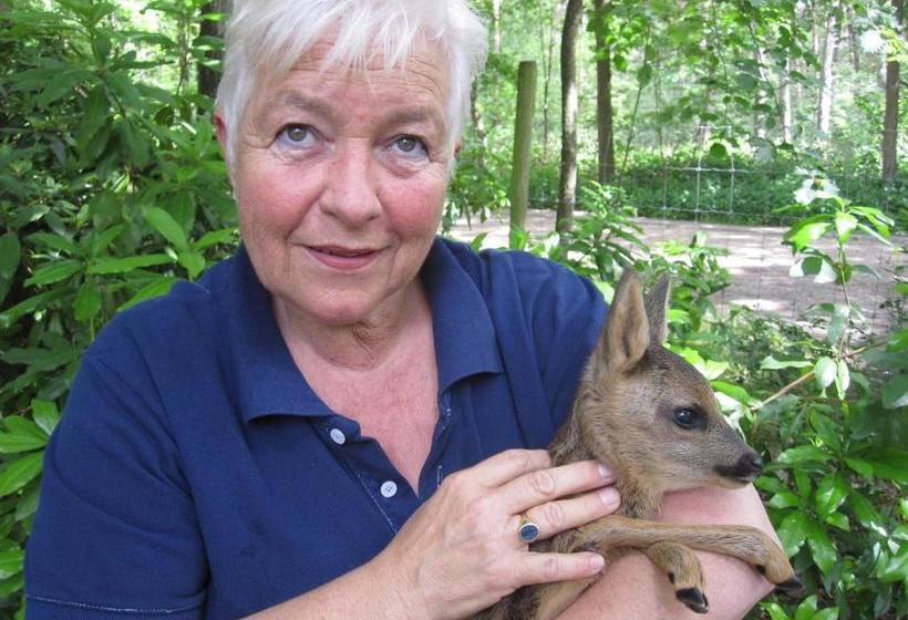 تختخواب و صبحانه Regina Vught